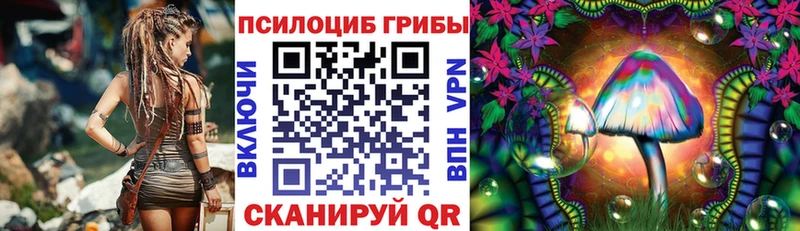 Псилоцибиновые грибы MAGIC MUSHROOMS  Лермонтов 